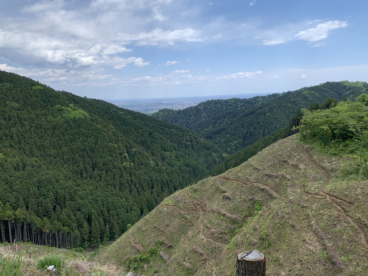 奥高尾 高尾山頂上から小仏城山への歩き方 前世はきっと犬の 努力 継続こそ力なり 奥高尾 高尾山頂上から小仏城山への歩き方 前世はきっと犬の 努力 継続こそ力なり
