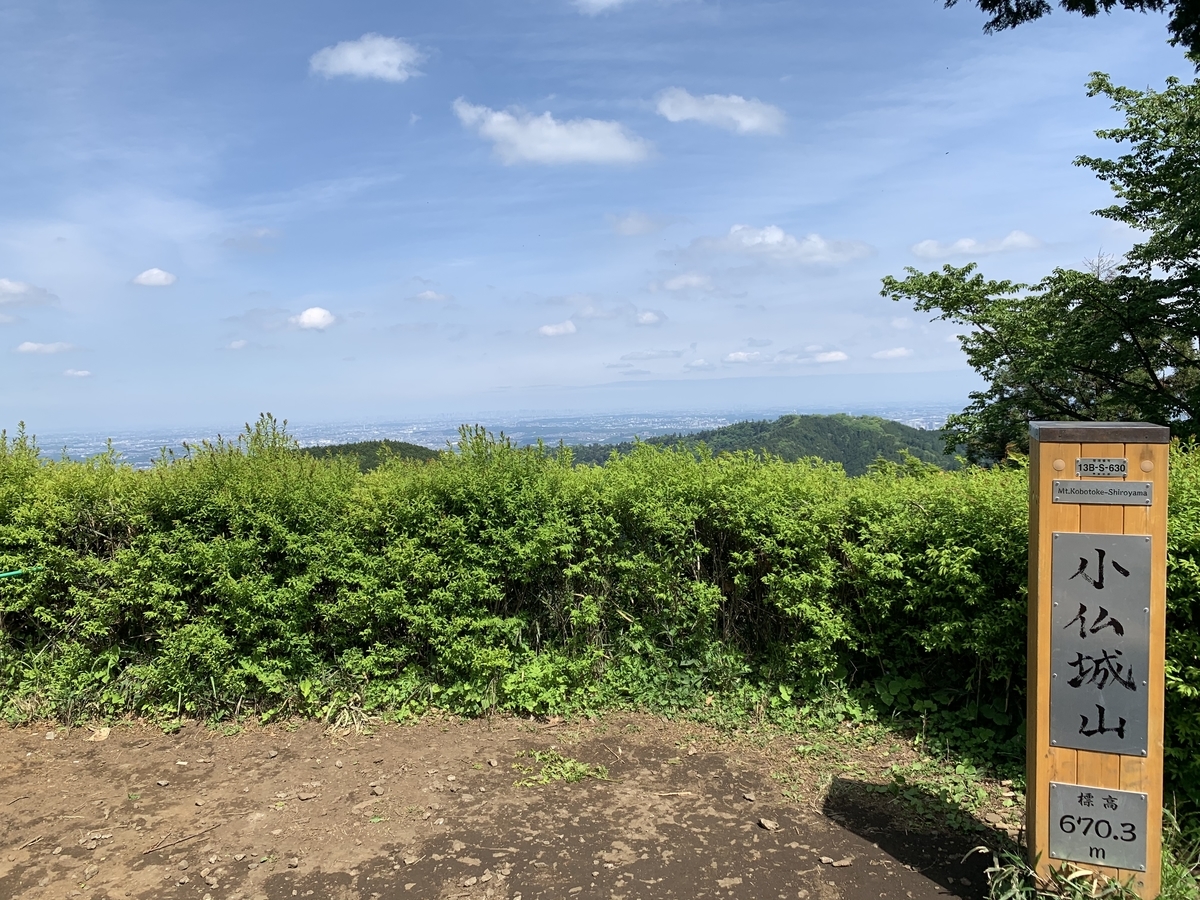 f:id:zensehakittoinu:20210507215534j:plain