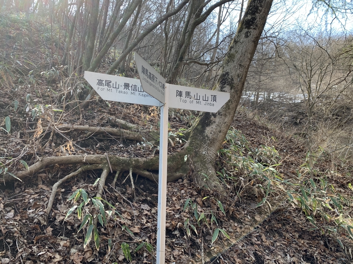 f:id:zensehakittoinu:20220312095105j:plain
