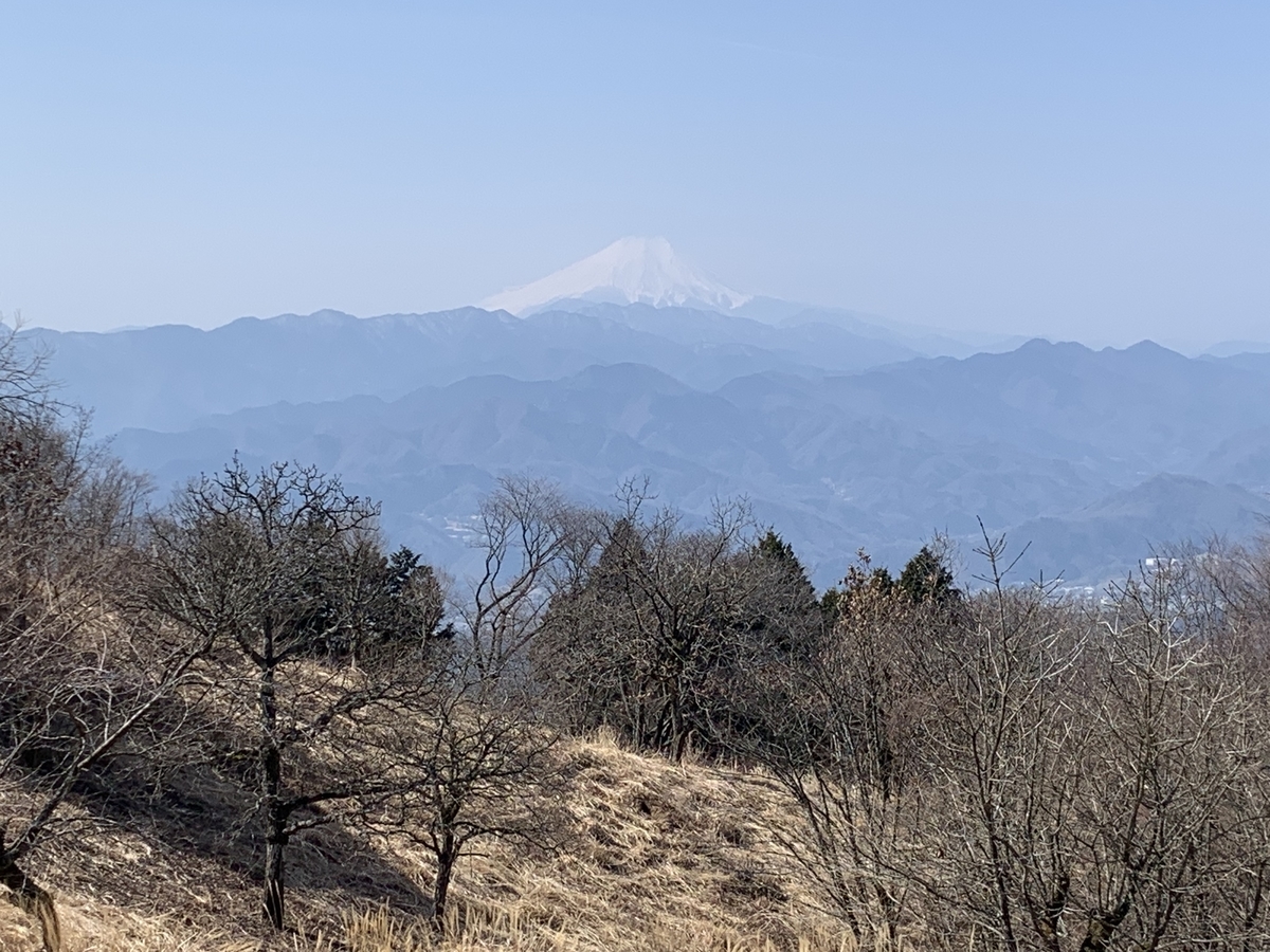 f:id:zensehakittoinu:20220312095812j:plain