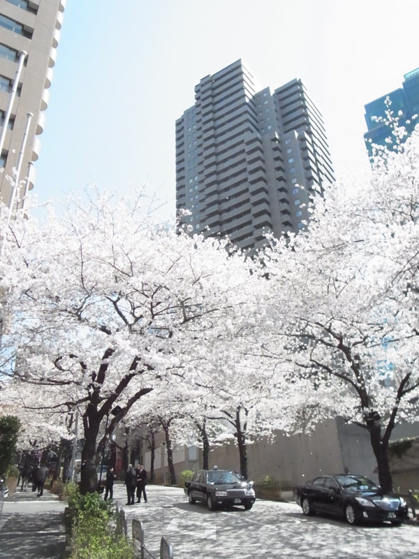 f:id:zephiransas:20120406132200j:image:w360