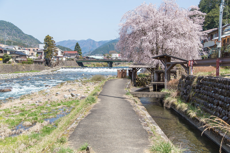 郡上八幡の桜 後篇 Rock Cd Dvd Buyer S Guide Iii 郡上八幡の桜 後篇 Rock Cd Dvd Buyer S Guide Iii