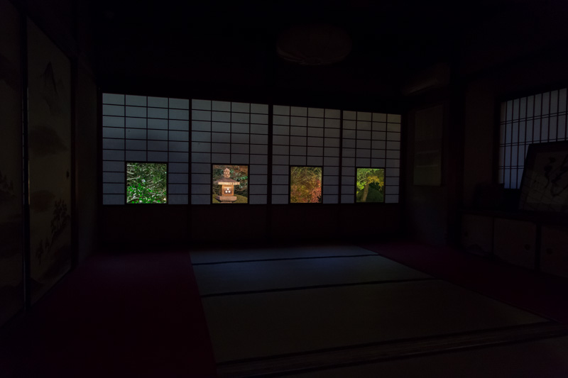 イメージ 1