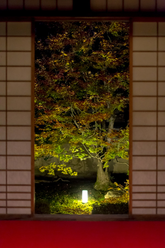 イメージ 11