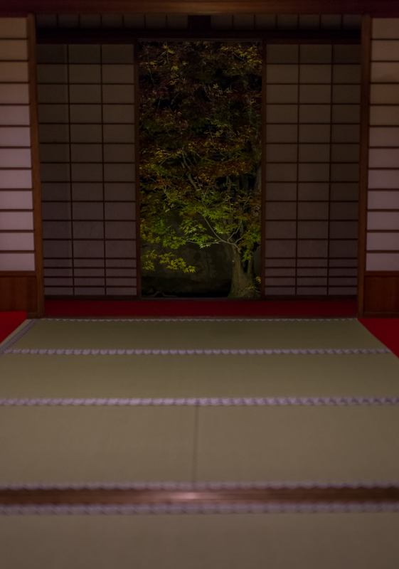 イメージ 10