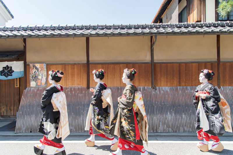 祇園の八朔2018～祗園甲部・井上八千代邸前と富美代前 - ROCK CD & DVD