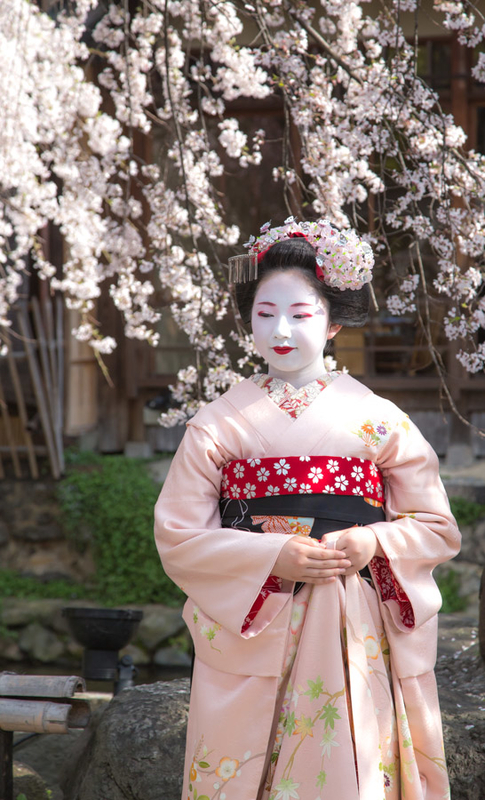 京都の桜2014・祇園白川の芸舞妓さん撮影会～宮川町とし桃さん - ROCK