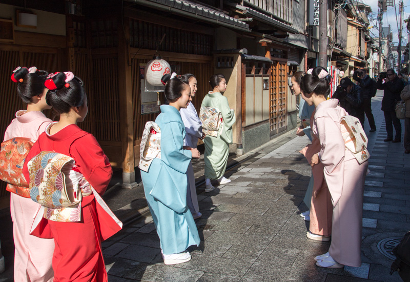 引祝い 宮川町舞妓ふく苗さん引退 Rock Cd Dvd Buyer S Guide Iii 引祝い 宮川町舞妓ふく苗さん引退 Rock Cd Dvd Buyer S Guide Iii