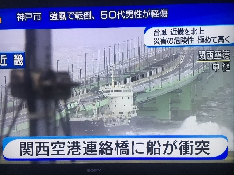 台風21号 関西空港が沈没 Rock Cd Dvd Buyer S Guide Iii