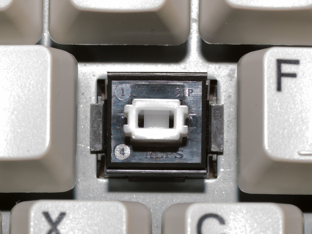 ALPS SKCM White Photo