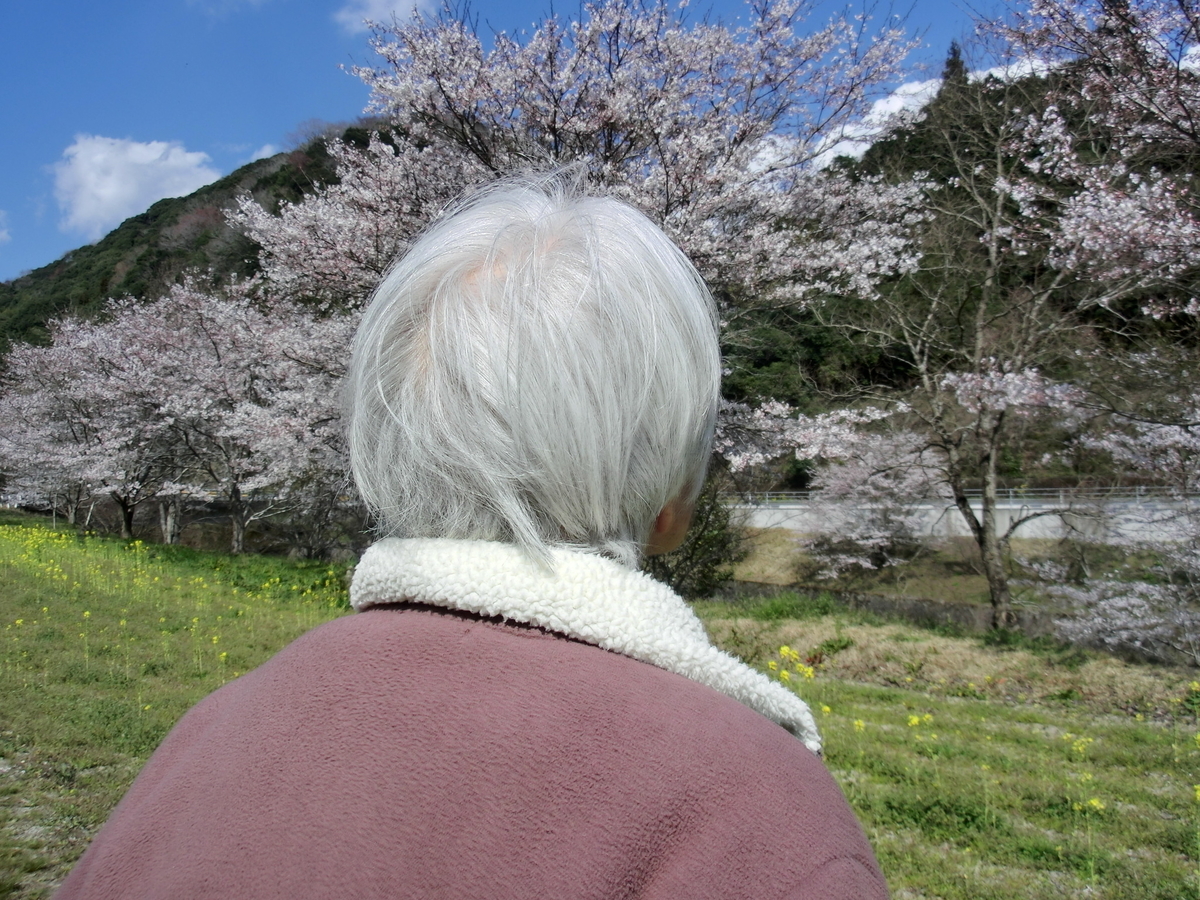 f:id:zero-one-ltd:20190403103343j:plain f:id:zero-one-ltd:20190403103343j:plain
