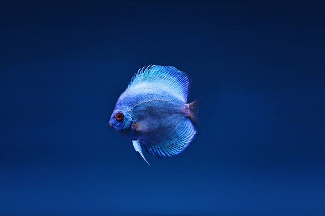 f:id:zerogamaru:20190504225821j:plain f:id:zerogamaru:20190504225821j:plain