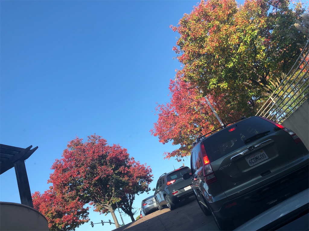 f:id:zeroichiseroli:20191123051039j:image