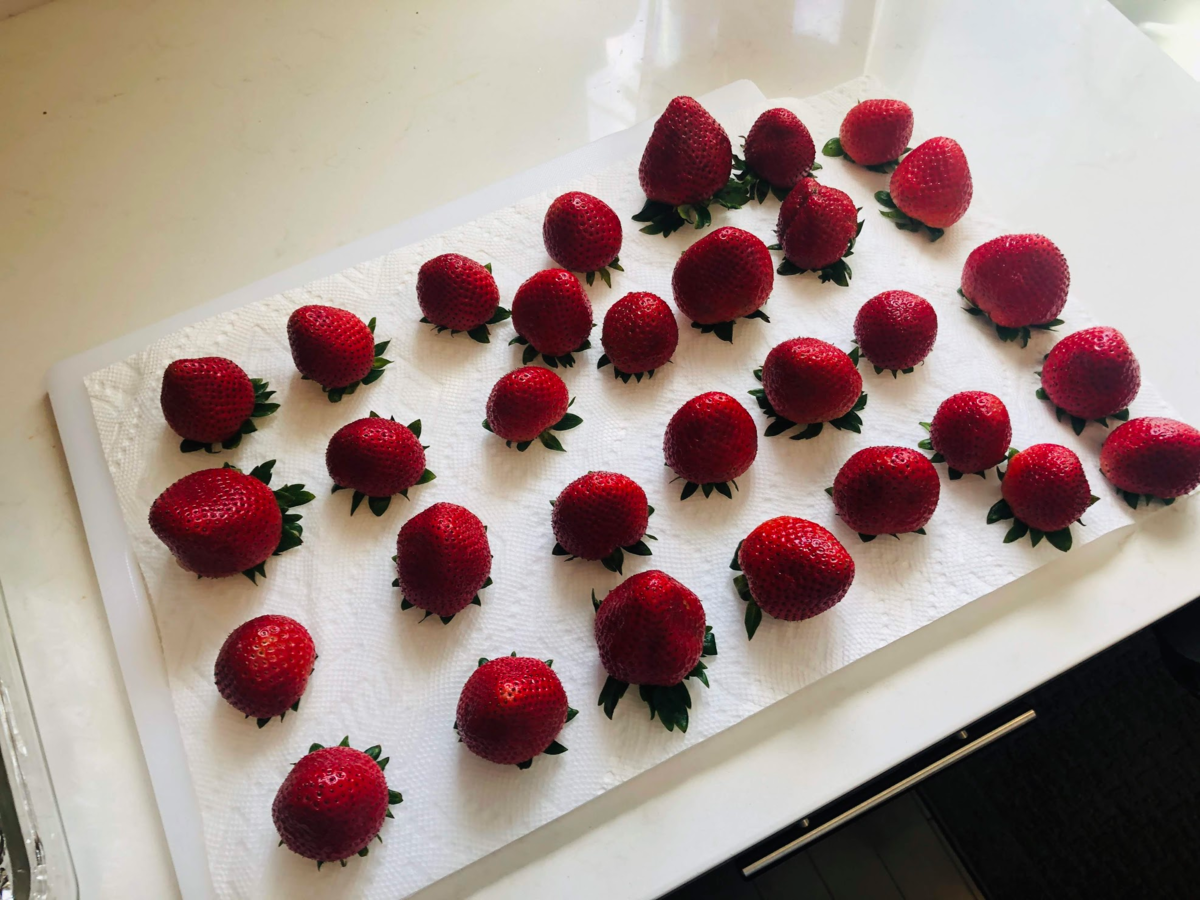 f:id:zeroichiseroli:20200519032259p:plain