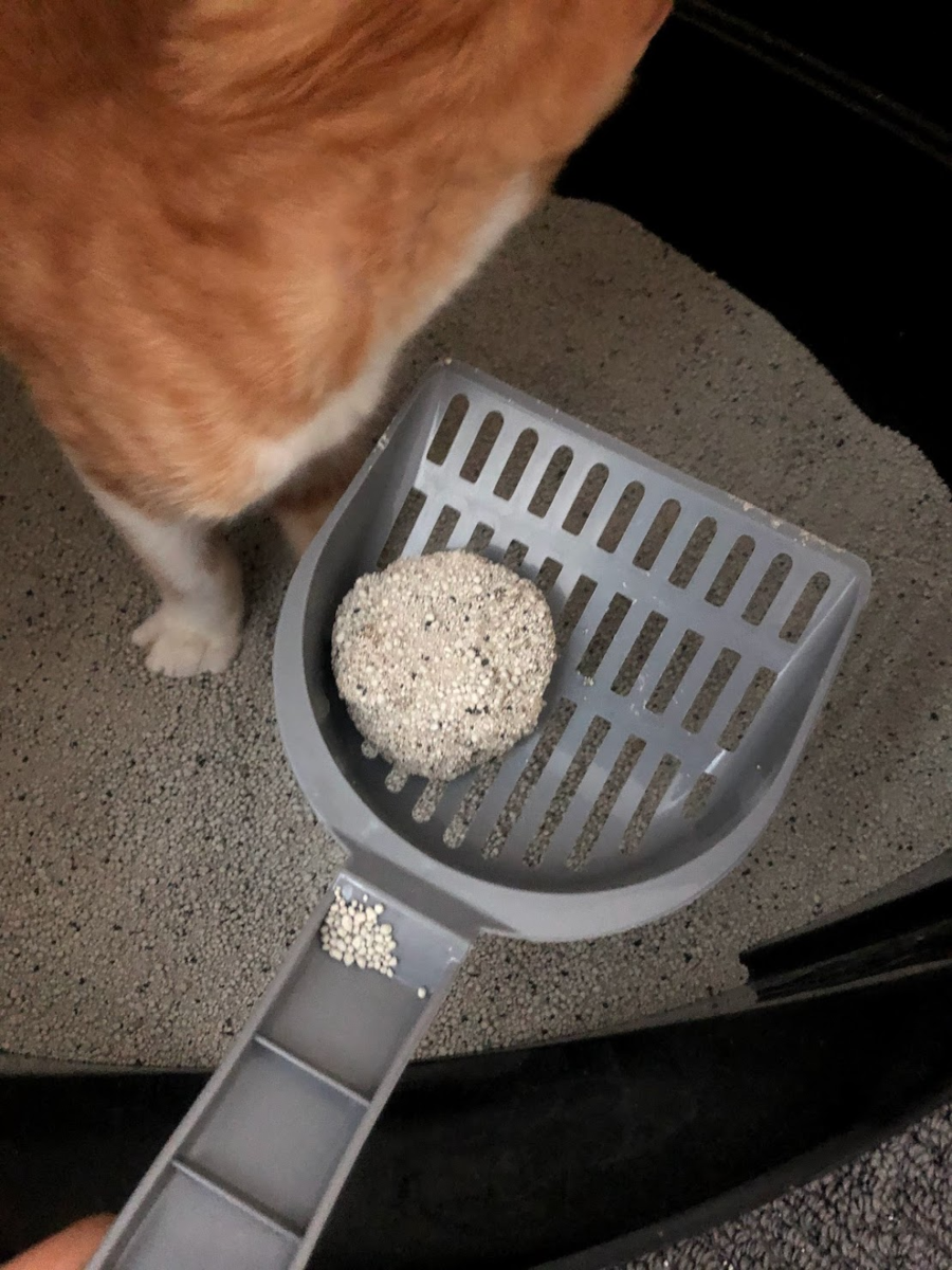 f:id:zeroichiseroli:20200716054918p:plain