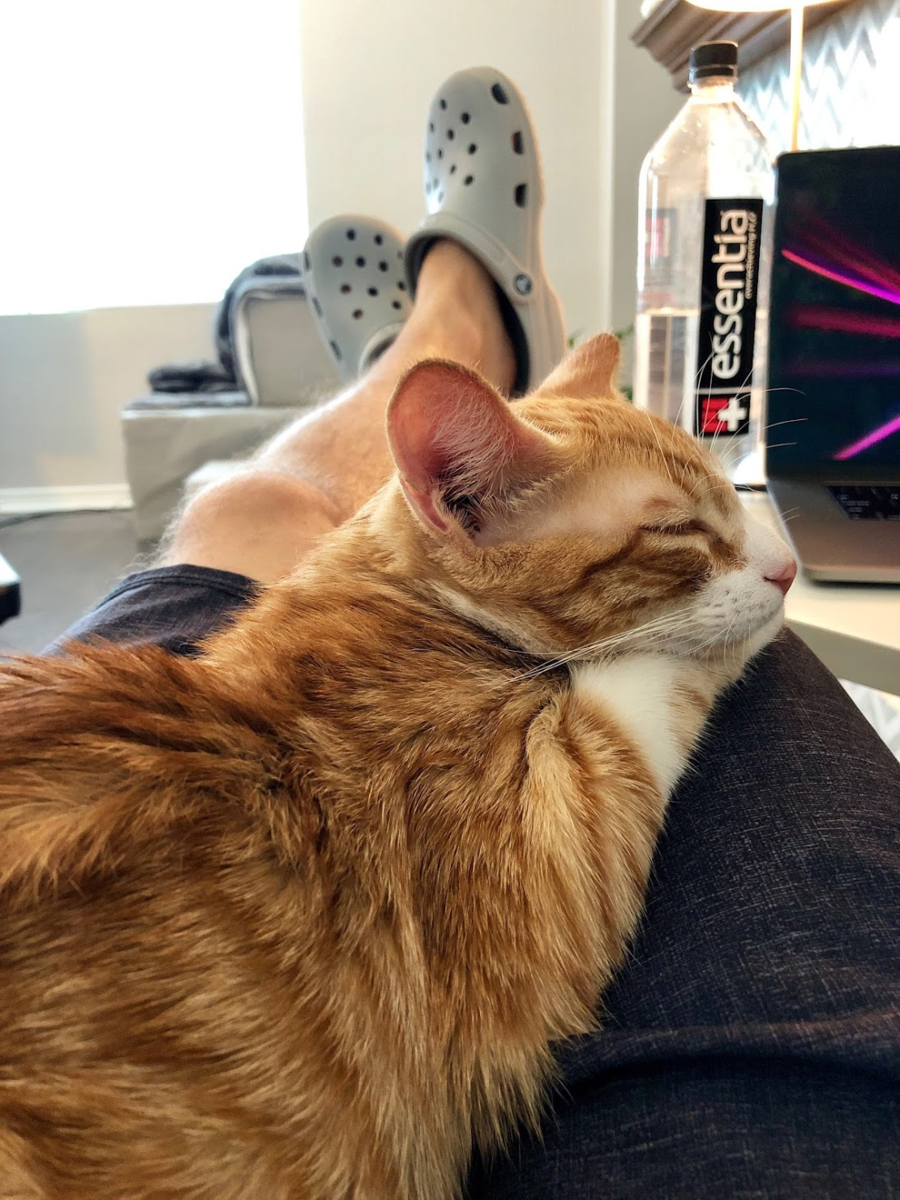 f:id:zeroichiseroli:20200717015433p:plain