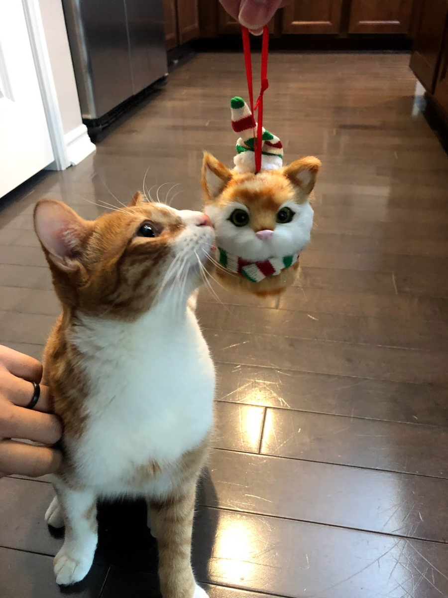 f:id:zeroichiseroli:20201216025124p:plain