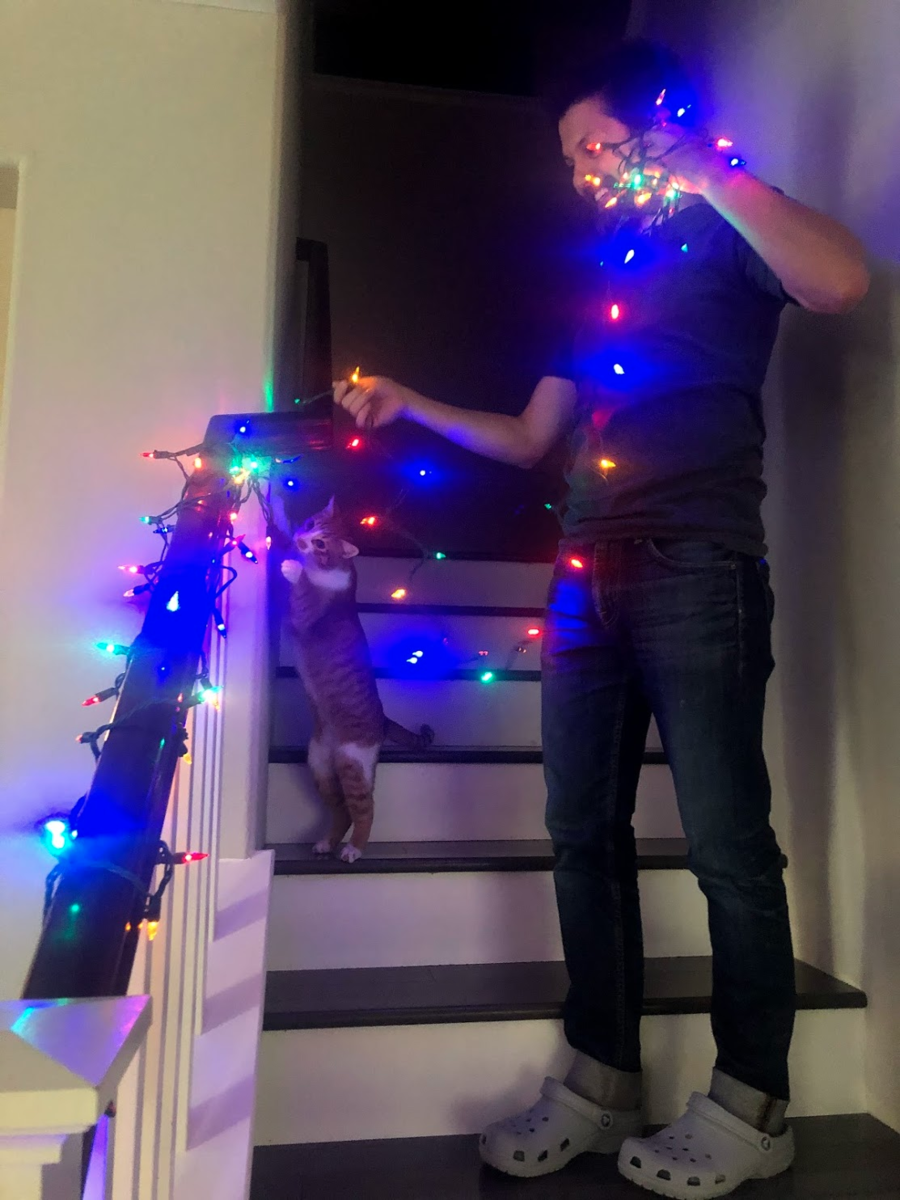 f:id:zeroichiseroli:20201216025228p:plain