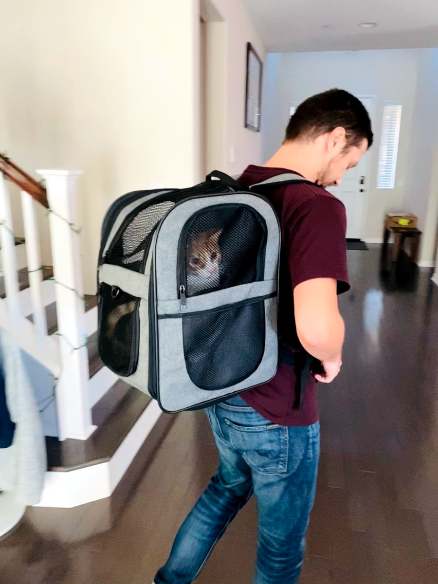 f:id:zeroichiseroli:20201229045916p:plain