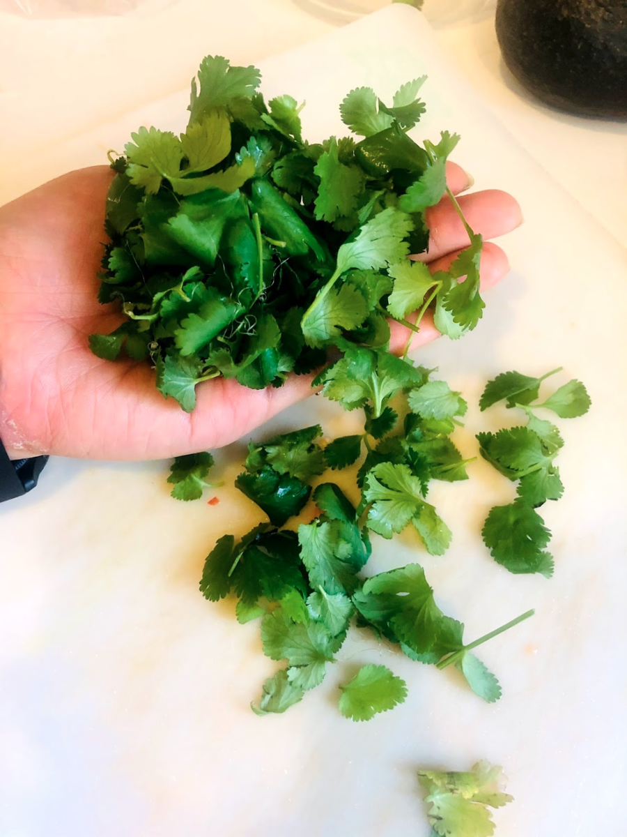 f:id:zeroichiseroli:20210309065438p:plain