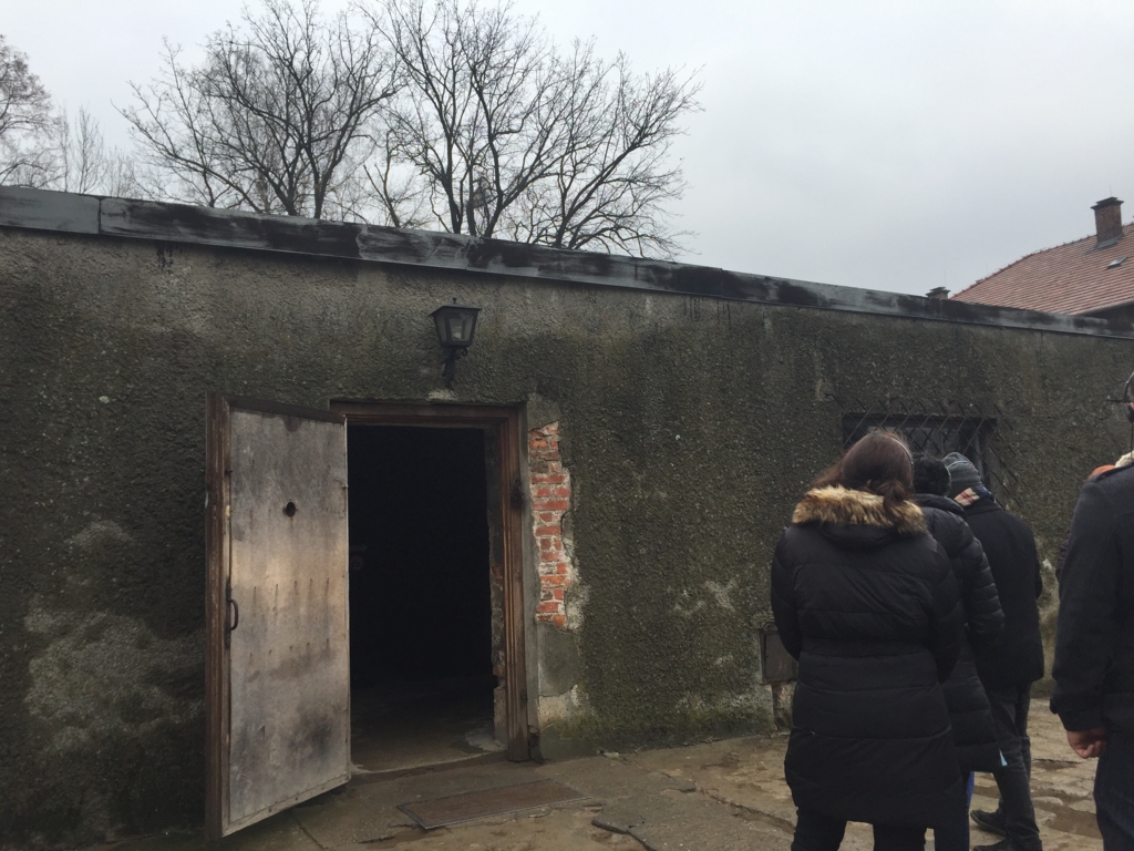 アウシュヴィッツには別に何もなかった It All Depends On The Liver