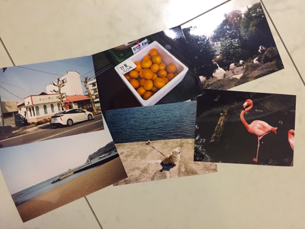 f:id:zerokkuma1:20170402224813j:plain f:id:zerokkuma1:20170402224813j:plain