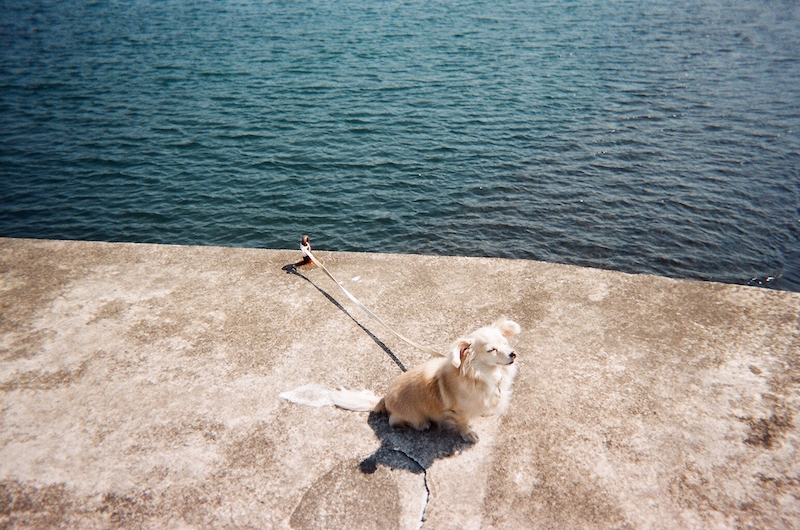 f:id:zerokkuma1:20170402225629j:plain f:id:zerokkuma1:20170402225629j:plain