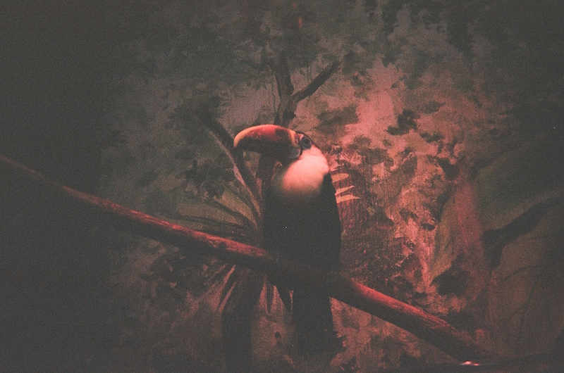 f:id:zerokkuma1:20170402225847j:plain f:id:zerokkuma1:20170402225847j:plain