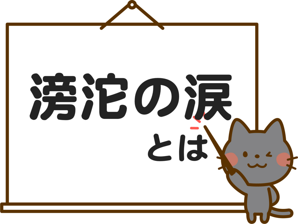 f:id:zeroline0752zero904:20170622093210j:plain f:id:zeroline0752zero904:20170622093210j:plain