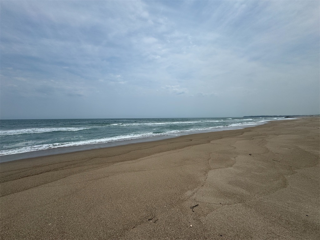 f:id:zeromugi:20240619121421j:image f:id:zeromugi:20240619121421j:image