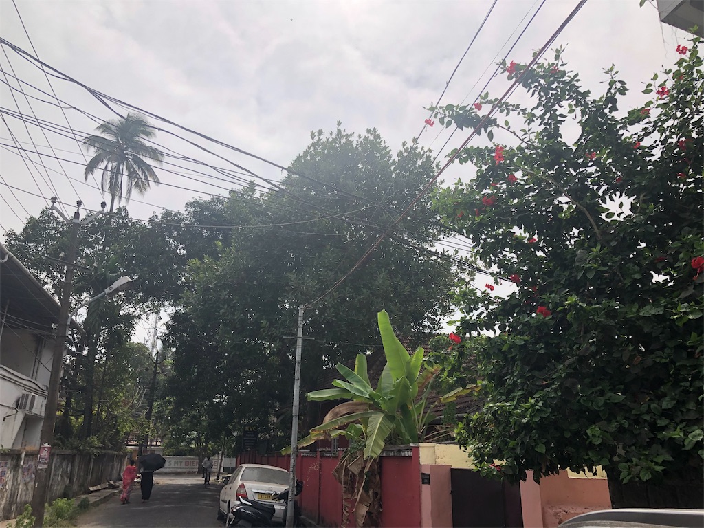 f:id:zeroonecurry:20190307135439j:image