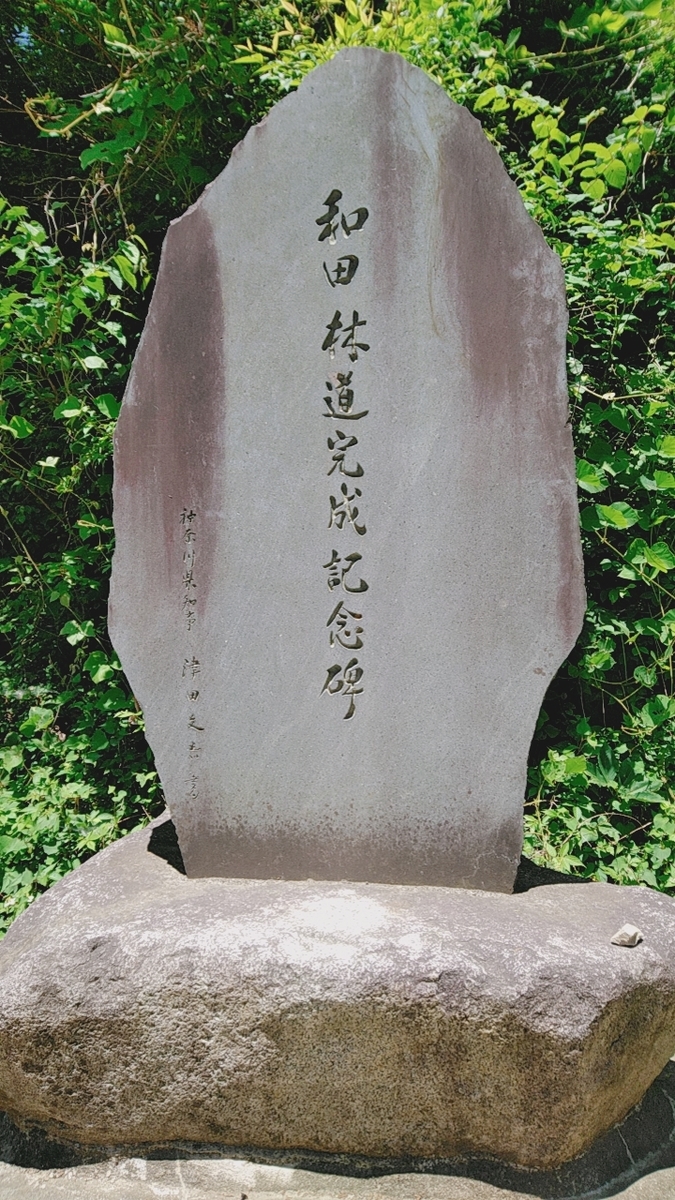 f:id:zeroshiki0930:20190617214341j:plain