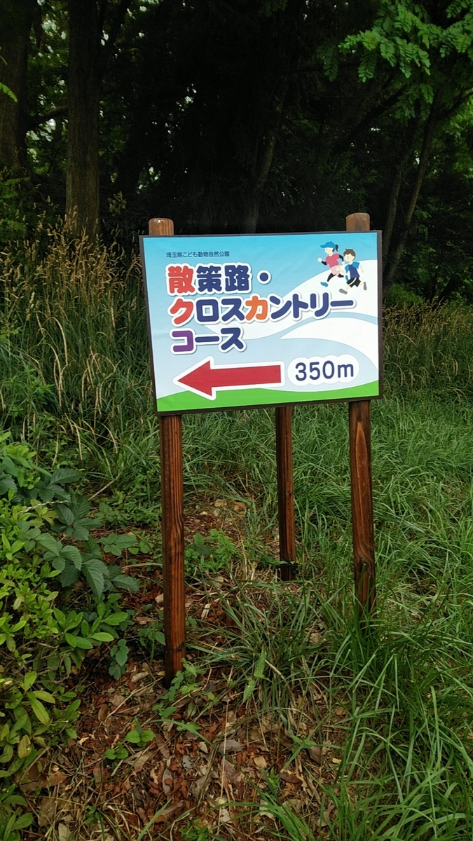 f:id:zeroshiki0930:20190622153609j:plain f:id:zeroshiki0930:20190622153609j:plain