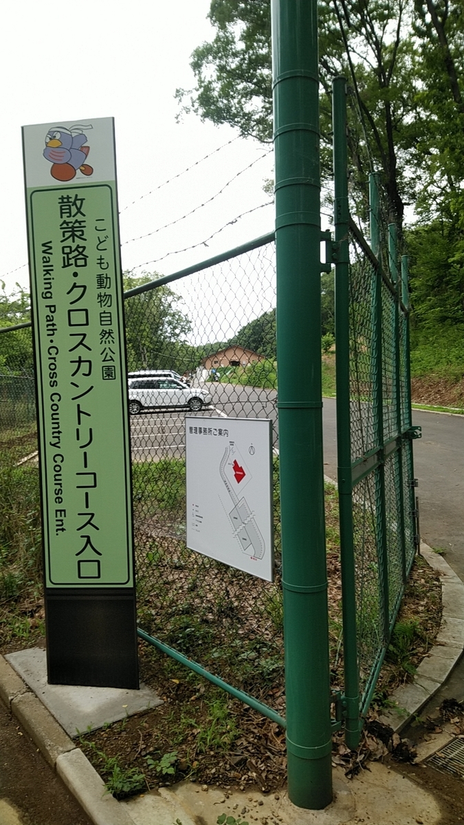 f:id:zeroshiki0930:20190622155203j:plain f:id:zeroshiki0930:20190622155203j:plain