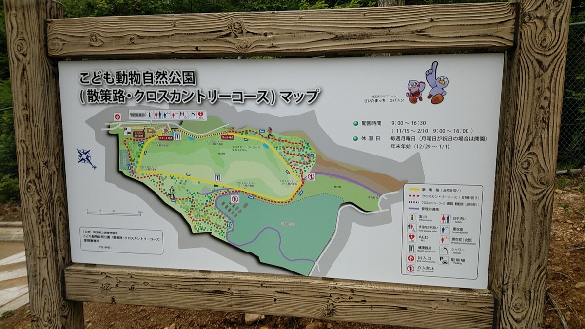f:id:zeroshiki0930:20190622155322j:plain f:id:zeroshiki0930:20190622155322j:plain