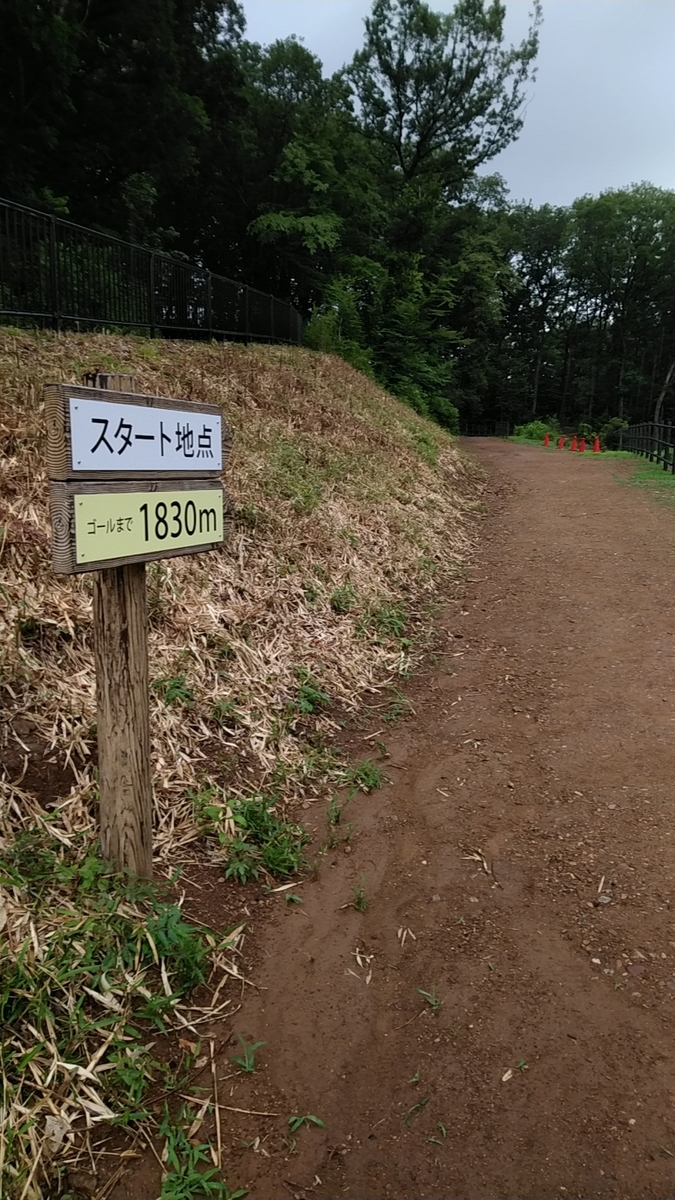 f:id:zeroshiki0930:20190622155749j:plain f:id:zeroshiki0930:20190622155749j:plain