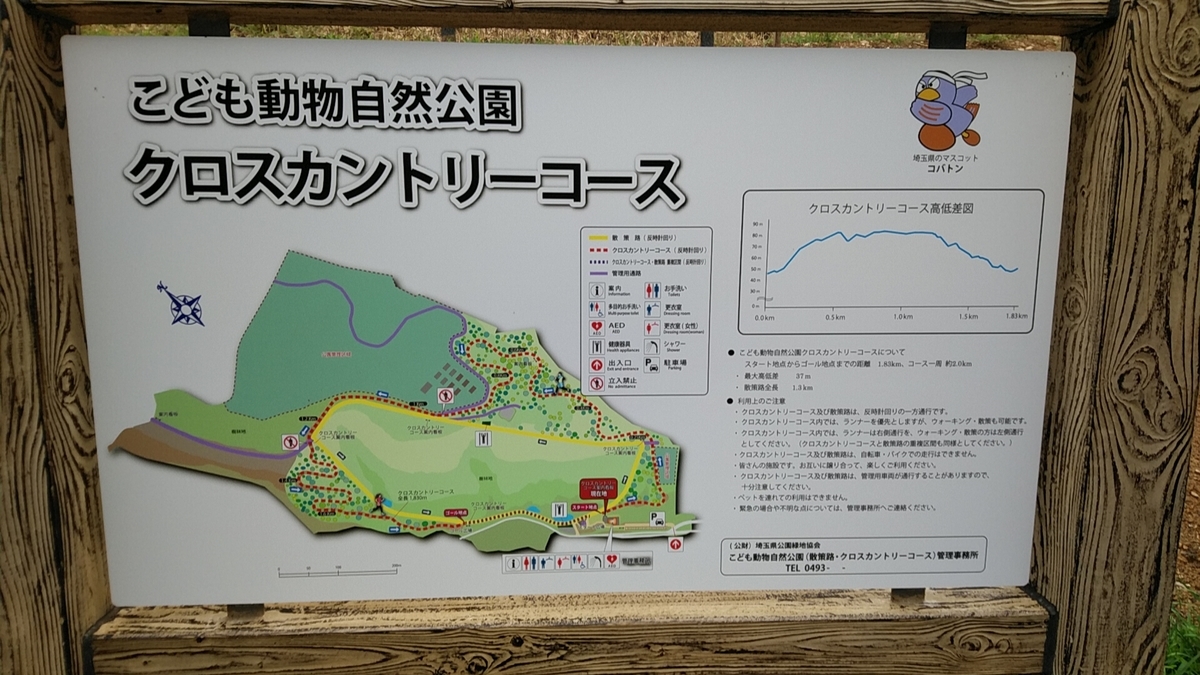 f:id:zeroshiki0930:20190622171612j:plain f:id:zeroshiki0930:20190622171612j:plain