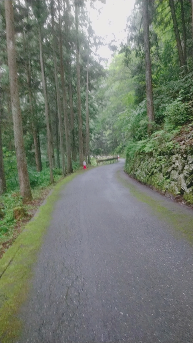 f:id:zeroshiki0930:20190701224530j:plain f:id:zeroshiki0930:20190701224530j:plain