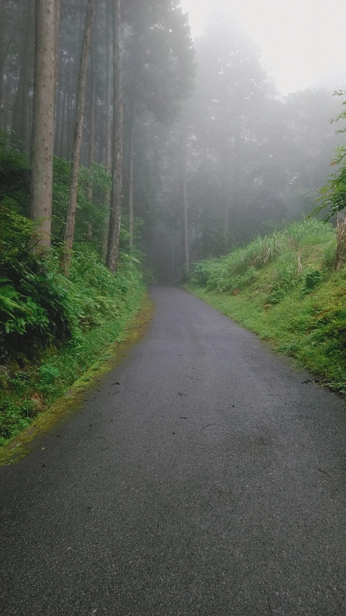 f:id:zeroshiki0930:20190701224742j:plain f:id:zeroshiki0930:20190701224742j:plain
