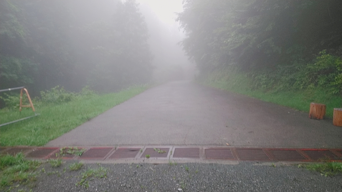 f:id:zeroshiki0930:20190701225626j:plain f:id:zeroshiki0930:20190701225626j:plain