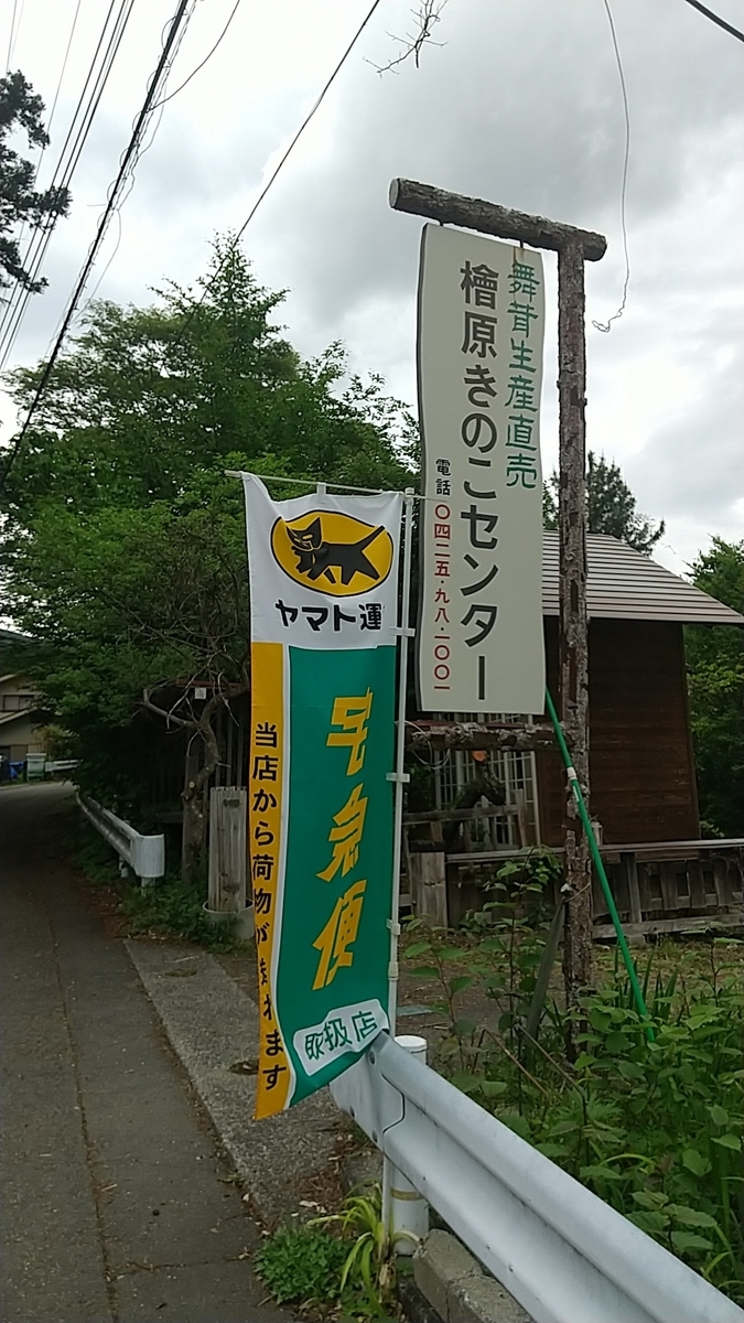 f:id:zeroshiki0930:20210517224353j:plain