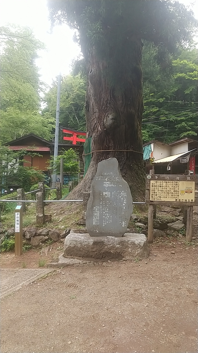 f:id:zeroshiki0930:20210524160823j:plain