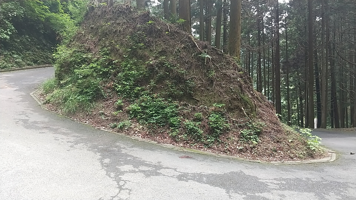 f:id:zeroshiki0930:20210524191955j:plain