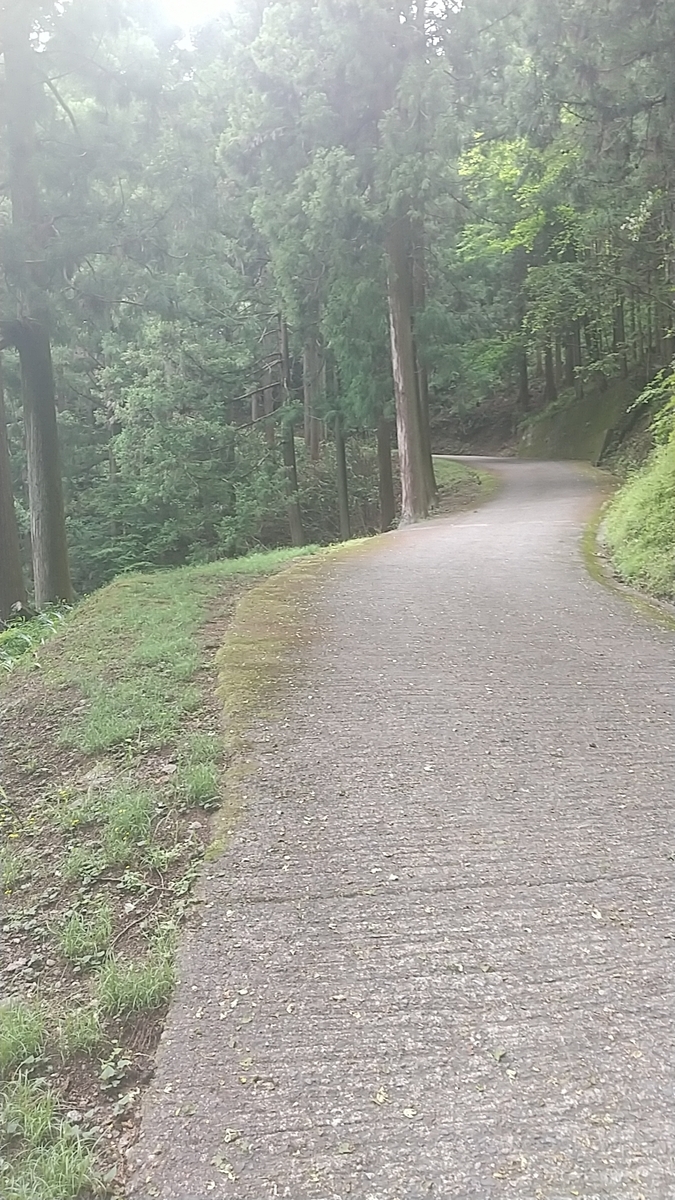 f:id:zeroshiki0930:20210524192218j:plain
