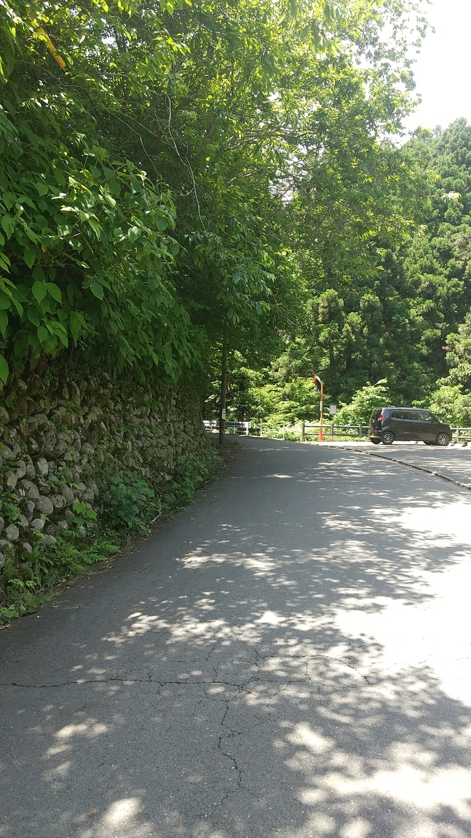 f:id:zeroshiki0930:20210608130310j:plain