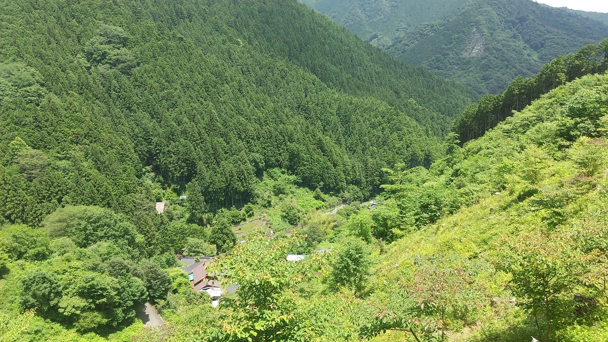 f:id:zeroshiki0930:20210608131048j:plain