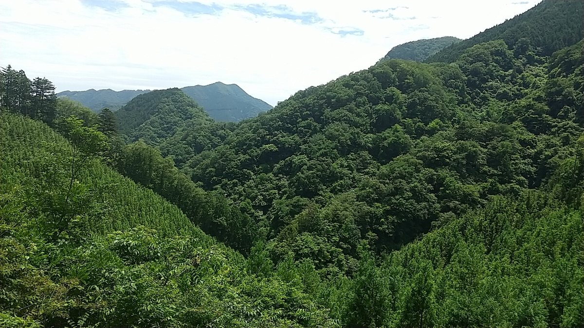 f:id:zeroshiki0930:20210608131158j:plain