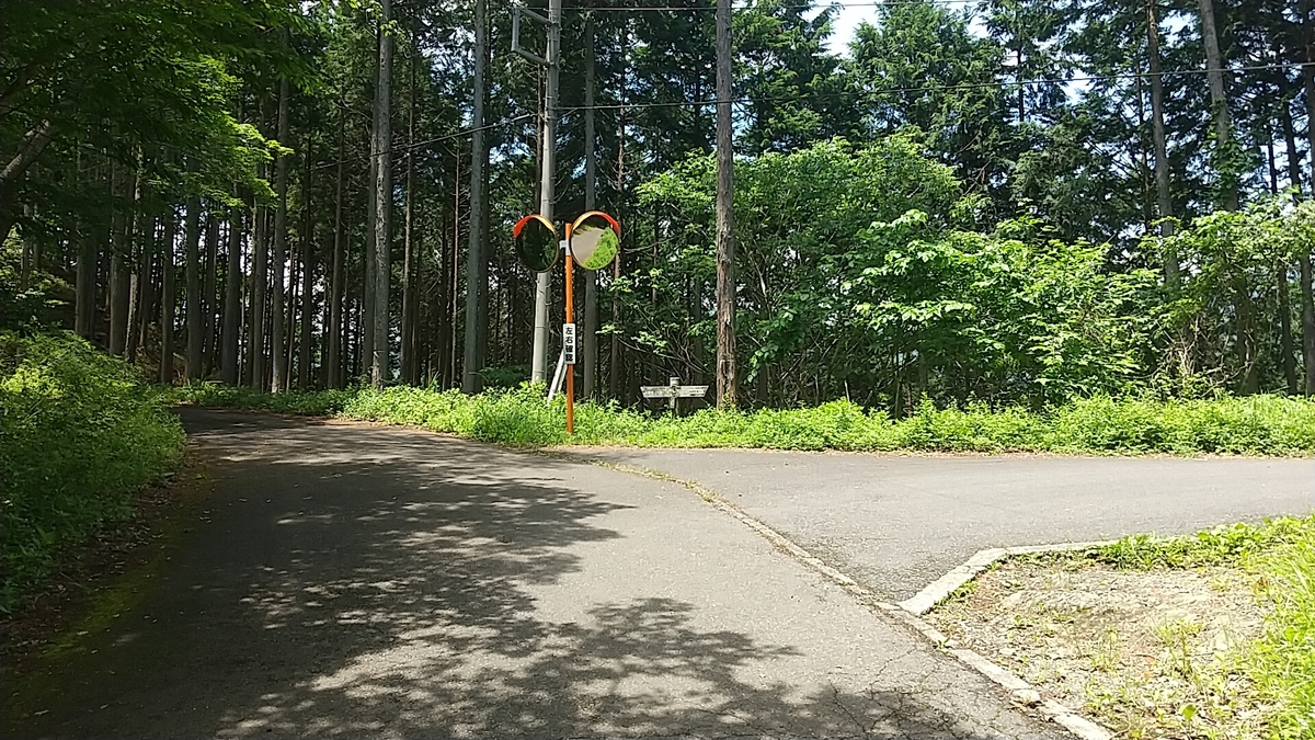 f:id:zeroshiki0930:20210608131841j:plain