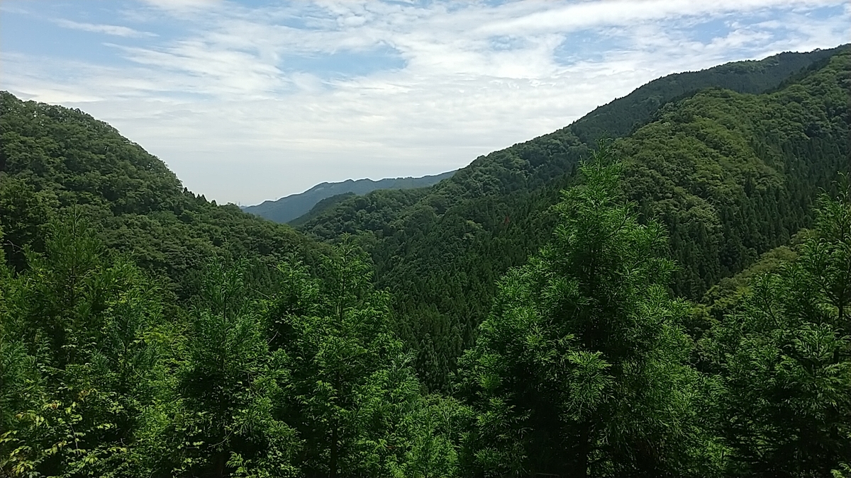 f:id:zeroshiki0930:20210608132806j:plain