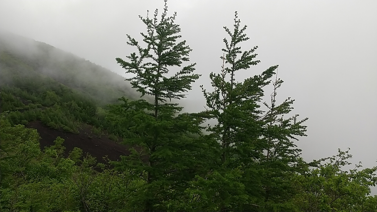 f:id:zeroshiki0930:20210614225628j:plain
